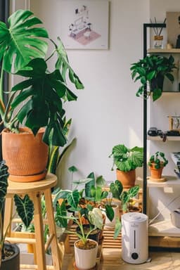 Essential Accessories for Potting Your Plants the Right Way