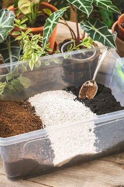 DIY Soil Mix: How to Create the Perfect Potting Mix for Your Plants